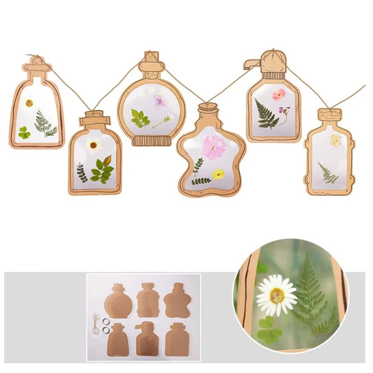 Diy Paper Transparent Specimen Bottle